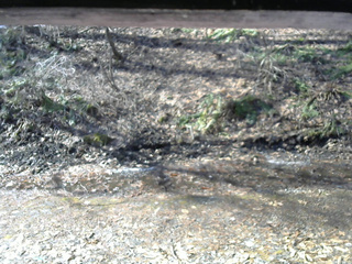 長野県菅平高原 ゆたか山荘 東側(坂下) 2026/04/03 08:00