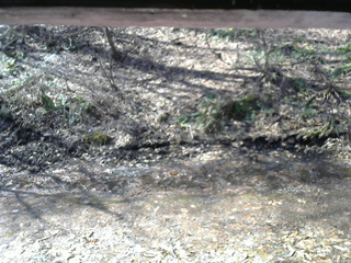 長野県菅平高原 ゆたか山荘 東側(坂下) 2026/04/03 08:45