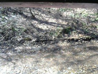 長野県菅平高原 ゆたか山荘 東側(坂下) 2026/04/03 09:00