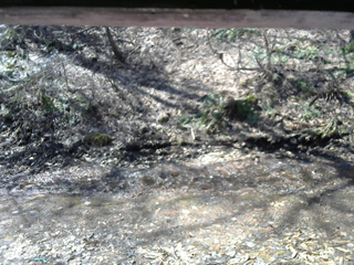 長野県菅平高原 ゆたか山荘 東側(坂下) 2026/04/03 09:15