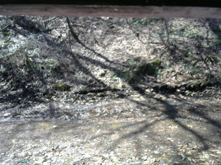 長野県菅平高原 ゆたか山荘 東側(坂下) 2026/04/03 09:30