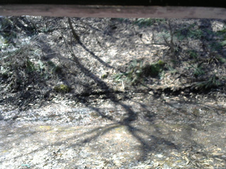 長野県菅平高原 ゆたか山荘 東側(坂下) 2026/04/03 09:45