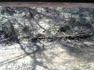 長野県菅平高原 ゆたか山荘 東側(坂下) 2026/04/03 10:00