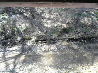 長野県菅平高原 ゆたか山荘 東側(坂下) 2026/04/03 10:15