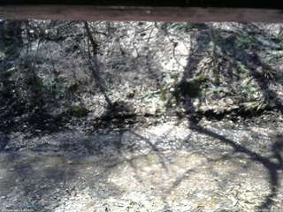 長野県菅平高原 ゆたか山荘 東側(坂下) 2026/04/03 10:45