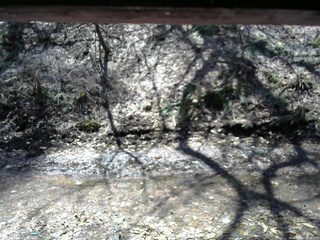 長野県菅平高原 ゆたか山荘 東側(坂下) 2026/04/03 11:00