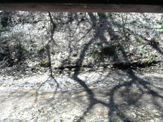 長野県菅平高原 ゆたか山荘 東側(坂下) 2026/04/03 11:15