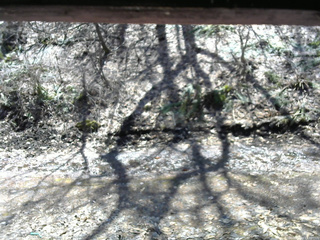 長野県菅平高原 ゆたか山荘 東側(坂下) 2026/04/03 11:30