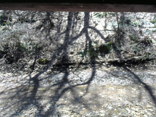 長野県菅平高原 ゆたか山荘 東側(坂下) 2026/04/03 11:45