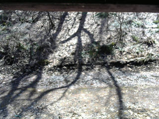 長野県菅平高原 ゆたか山荘 東側(坂下) 2026/04/03 12:00