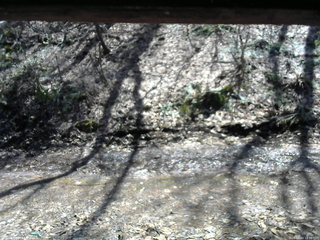 長野県菅平高原 ゆたか山荘 東側(坂下) 2026/04/03 12:30