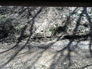 長野県菅平高原 ゆたか山荘 東側(坂下) 2026/04/03 12:45