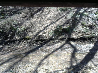 長野県菅平高原 ゆたか山荘 東側(坂下) 2026/04/03 13:15