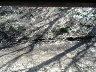 長野県菅平高原 ゆたか山荘 東側(坂下) 2026/04/03 13:45