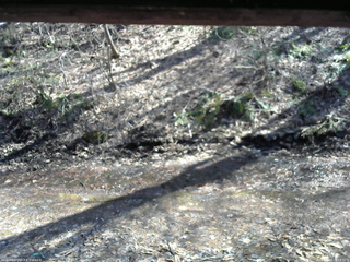 長野県菅平高原 ゆたか山荘 東側(坂下) 2026/04/03 14:15