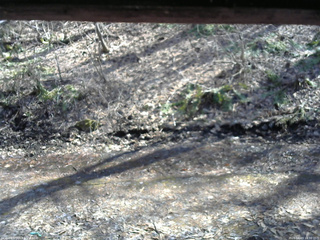 長野県菅平高原 ゆたか山荘 東側(坂下) 2026/04/03 14:30