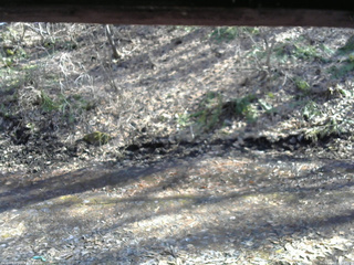 長野県菅平高原 ゆたか山荘 東側(坂下) 2026/04/03 14:45