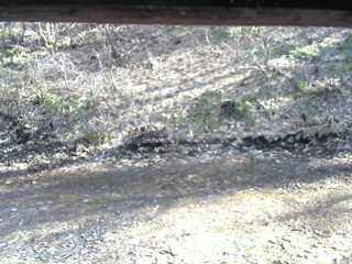 長野県菅平高原 ゆたか山荘 東側(坂下) 2026/04/03 15:30