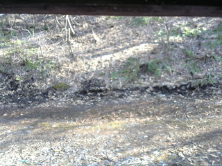 長野県菅平高原 ゆたか山荘 東側(坂下) 2026/04/03 15:45