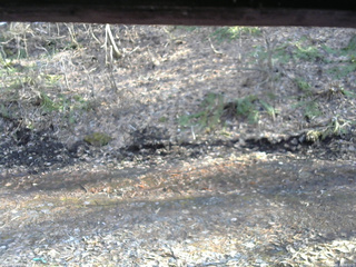 長野県菅平高原 ゆたか山荘 東側(坂下) 2026/04/03 16:00