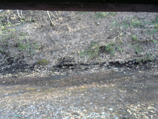 長野県菅平高原 ゆたか山荘 東側(坂下) 2026/04/03 16:15