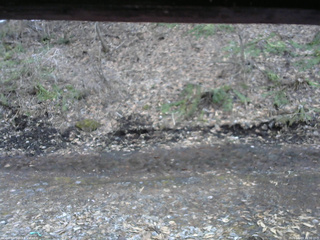 長野県菅平高原 ゆたか山荘 東側(坂下) 2026/04/03 16:30