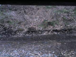 長野県菅平高原 ゆたか山荘 東側(坂下) 2026/04/03 18:15