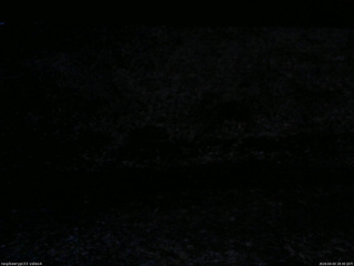 長野県菅平高原 ゆたか山荘 東側(坂下) 2026/04/03 18:30