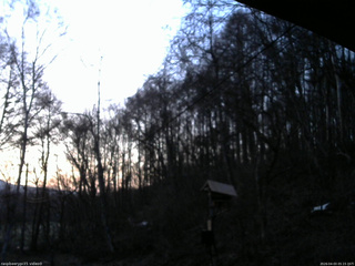 長野県菅平高原 ゆたか山荘 温度計 2026/04/03 05:15