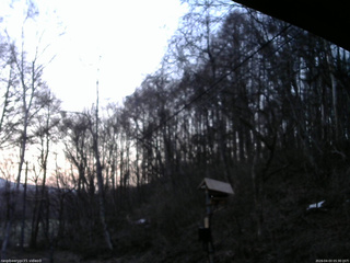 長野県菅平高原 ゆたか山荘 温度計 2026/04/03 05:30