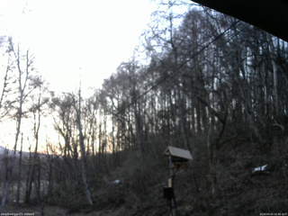 長野県菅平高原 ゆたか山荘 温度計 2026/04/03 05:45