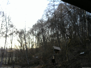 長野県菅平高原 ゆたか山荘 温度計 2026/04/03 06:00