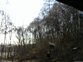 長野県菅平高原 ゆたか山荘 温度計 2026/04/03 06:15