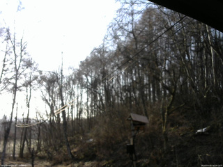 長野県菅平高原 ゆたか山荘 温度計 2026/04/03 06:30