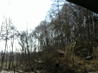 長野県菅平高原 ゆたか山荘 温度計 2026/04/03 07:15