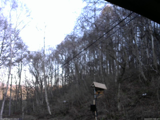 長野県菅平高原 ゆたか山荘 温度計 2026/04/03 17:00