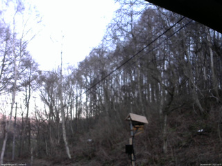 長野県菅平高原 ゆたか山荘 温度計 2026/04/03 17:15