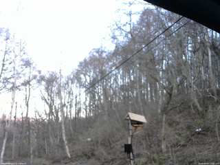 長野県菅平高原 ゆたか山荘 温度計 2026/04/03 17:30