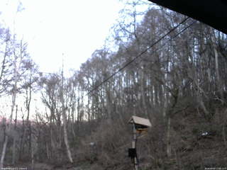 長野県菅平高原 ゆたか山荘 温度計 2026/04/03 17:45