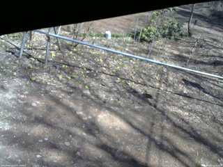 長野県菅平高原 ゆたか山荘 駐車場 2026/04/03 13:15