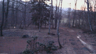 長野県菅平高原 ゆたか山荘 坂上 2026/04/03 05:15