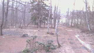 長野県菅平高原 ゆたか山荘 坂上 2026/04/03 05:30
