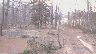 長野県菅平高原 ゆたか山荘 坂上 2026/04/03 05:45