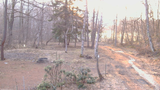 長野県菅平高原 ゆたか山荘 坂上 2026/04/03 06:00