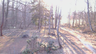 長野県菅平高原 ゆたか山荘 坂上 2026/04/03 06:15