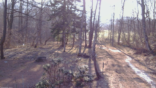長野県菅平高原 ゆたか山荘 坂上 2026/04/03 06:45