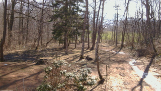 長野県菅平高原 ゆたか山荘 坂上 2026/04/03 08:15