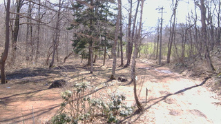 長野県菅平高原 ゆたか山荘 坂上 2026/04/03 09:00