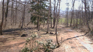 長野県菅平高原 ゆたか山荘 坂上 2026/04/03 09:15