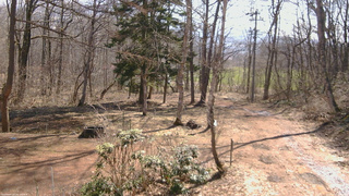 長野県菅平高原 ゆたか山荘 坂上 2026/04/03 09:30